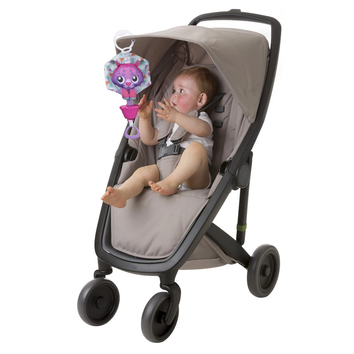 Playgro Musical Polar Pals Cat Muziekdoosje P0188321 - Afbeelding 4