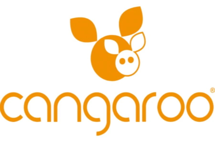 Cangaroo Polly Grey 3-in-1 Combi Kinderwagen Incl. Autostoel - Afbeelding 16