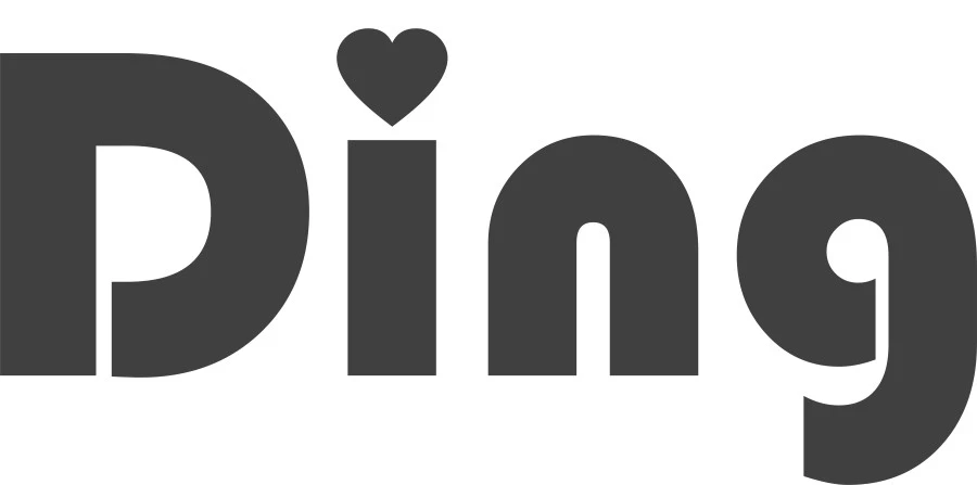 Ding Fenix Black/Black Kinderwagen DI-191701 - Afbeelding 20