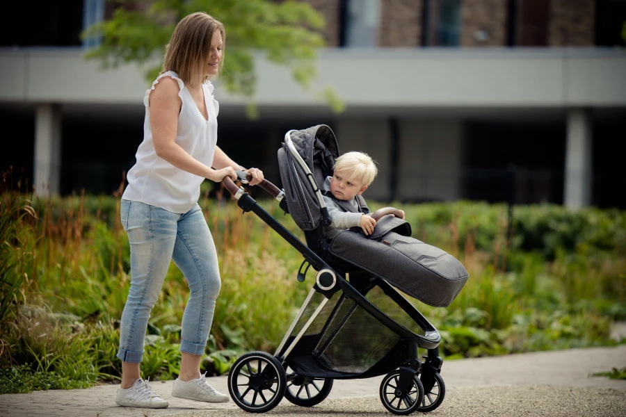 Ding Fenix Grey/Silver Kinderwagen DI-191703 - Afbeelding 17