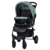 Lorelli Olivia Green Bay Wandelwagen 1002187-2390