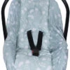 Sevibaby Leaf 0+ Autostoelhoes 61-92